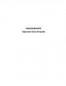 Operación Grúa Horquilla