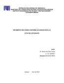 Movimiento rectilineo uniforme acelerado
