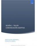 TALLER COMUNICACION ASERTIVA