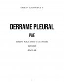 DERRAME PELURAL