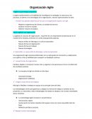 Organización Agile