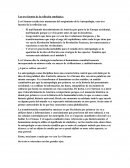 Antropologia