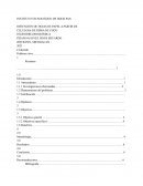 Elaboración de papel a partir de fibra de coco