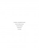 Economía aplicada tarea 4