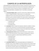 CAMPOS DE LA ANTROPOLOGÍA