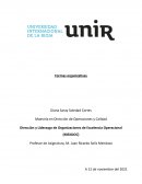 Dirección y Liderazgo de Organizaciones de Excelencia Operacional (MEXDOC)