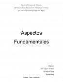 Aspectos Fundamentales