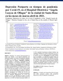 DEPRESION POSTPARTO EN TIEMPOS DE PANDEMIA