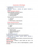 Anatomía y fisiología