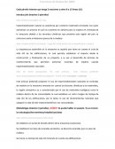 Estructura de Redacción IMRC