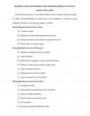 Desarrollo psicomotor del Niño