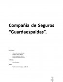 Caso Compañía de Seguros “Guardaespaldas”