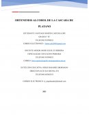 Obtenemos Alcohol de la cáscara de plátano