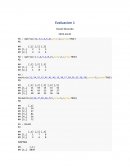 Presentacion optimizacion