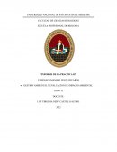 GESTION AMBIENTAL Y EVALUACION DE IMPACTO AMBIENTAL