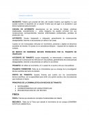 TRANSITO TERRESTRE