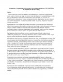 Evaluación y Formulación de Proyectos de Inversión