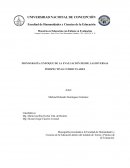 ENFOQUE DE LA EVALUACIÓN DESDE LAS DIVERSAS PERSPECTIVAS CURRICULARES
