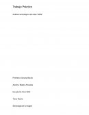 Trabajo Práctico Análisis semiológico del video “MAN”