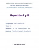 PAE Hepatitis A y B
