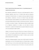 Derecho Internacional Consulta