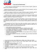 Flujo de caja proyectado