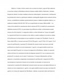 Matico como cicatrizante