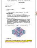 Informe de laboratorio LACTASA