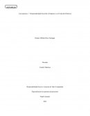 Caso práctico 1 - Responsabilidad Social de la Empresa y su Evolución Histórica