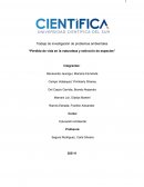 Pérdida de vida en la naturaleza y extinción de especies