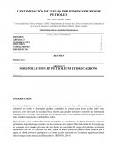 CONTAMINACIÓN DE SUELOS POR HIDROCARBUROS DE PETRÓLEO