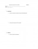 Evaluación principio de funcionalidad