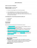 ¿Qué es lo que dice la reflexología?