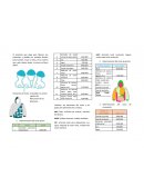 Elementos del costo y los gastos de administración y ventas