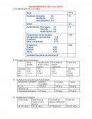Lipidos en alimentos