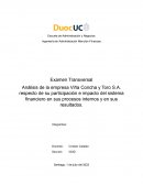 Análisis de la empresa Viña Concha y Toro S.A
