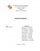 DERECHOS REALES. SUS DEFENSAS Y GARANTIAS