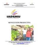 REVOLUCIÓN PRODUCTIVA . INFORME DE GESTIÓN