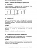 PRESUPUESTO OPERATIVO Y FINANCIERO