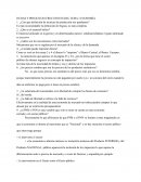 Preguntas de Economia