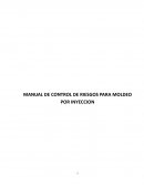 MANUAL DE CONTROL DE RIESGOS PARA MOLDEO POR INYECCION