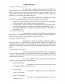 Mejora de calidad de los productos AJE GROUP