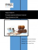 Trabajo Unidad N°1, Principales aspectos del Derecho Comercial