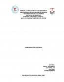 COMUNICACIÓN KINESICA