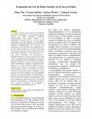 Adultos Mayores y la Web