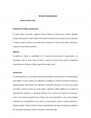 Trabajo Estandarizado