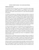 ANÁLISIS CONSTITUCIONAL Y CIVIL (CASO ANA ESTRADA)