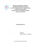 ESCUELA DE PSICOLOGÍA ACTIVIDAD SUMATIVA N3