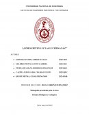 ¿Cómo emiten luz las luciérnagas?