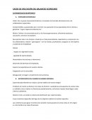 CASOS DE APLICACIÓN DEL BALANCED SCORECARD SUPERMERCADOS MONTERRICO